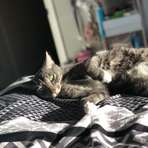 Meet your Posher, Meghan